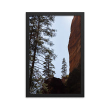 Load image into Gallery viewer, Pine