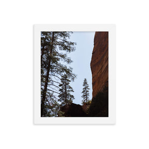 Pine