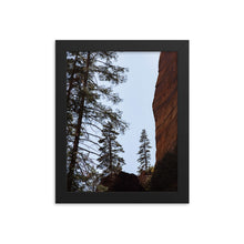 Load image into Gallery viewer, Pine